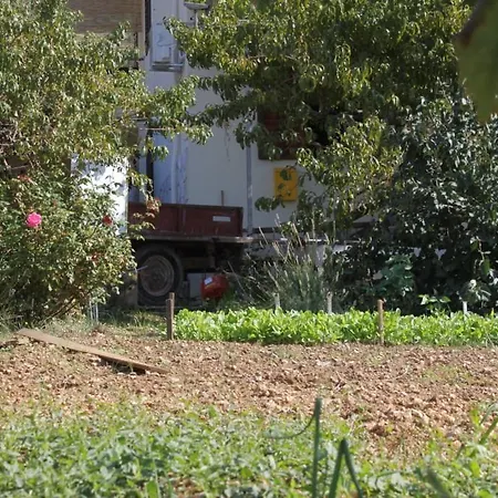 Double Komiza 8844a 3* וויס